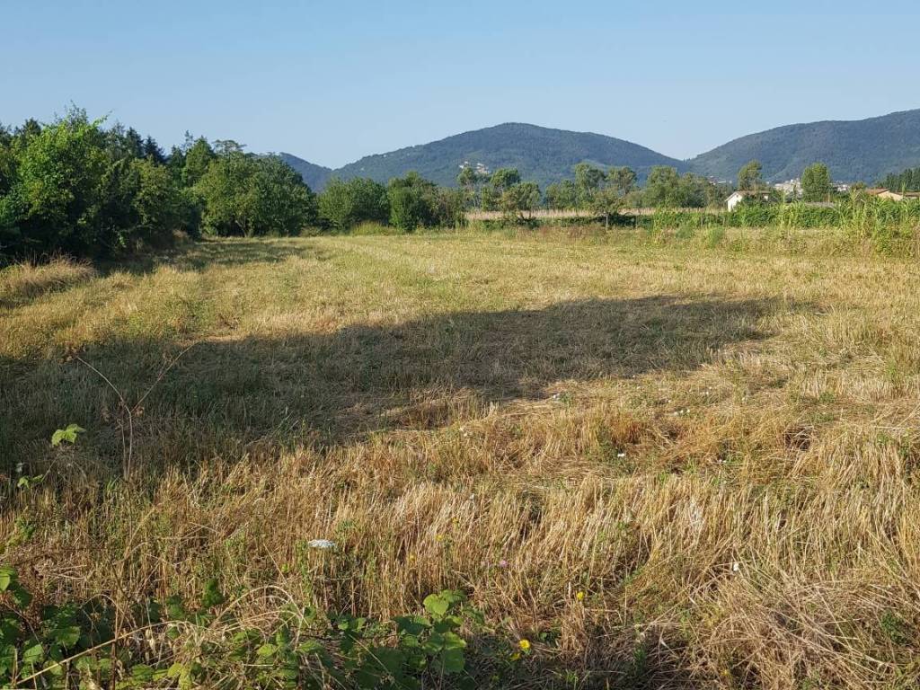 Terreno a Sarzana - Foto 4