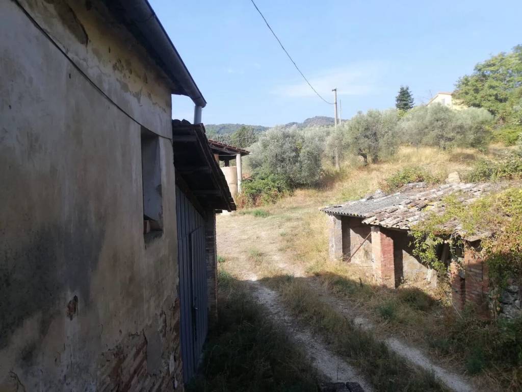 Rustico / casale a Narni in Via Capitonese S.N.C. - Foto 5