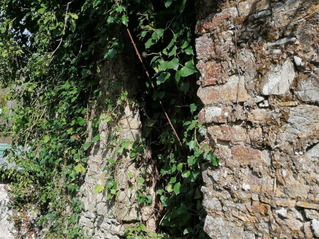 Terreno a Torchiara in Contrada Puglisi - Foto 2