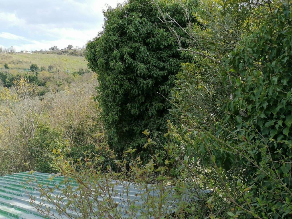 Terreno a Torchiara in Contrada Puglisi - Foto 4