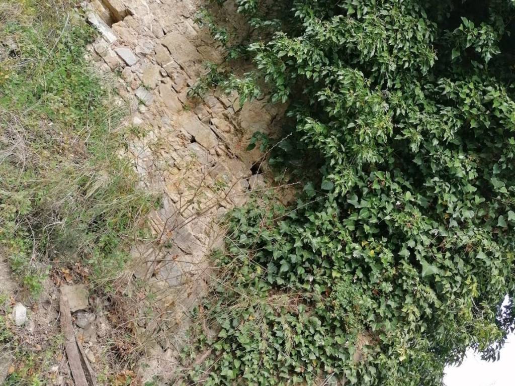 Terreno a Torchiara in Contrada Puglisi - Foto 5