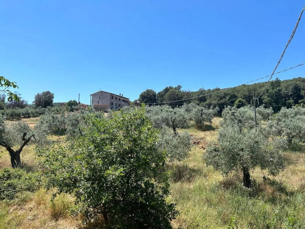 Rustico / casale a Narni in Strada Di Avisciano - Foto 4