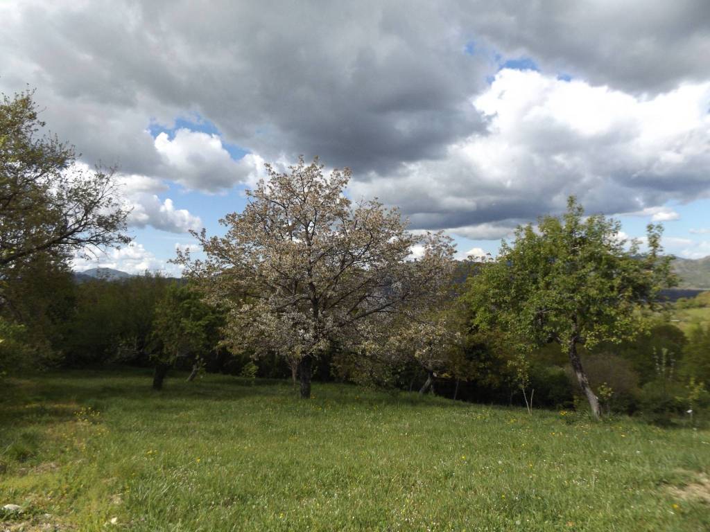 Terreno a Carsoli in Strada Provinciale di Villaromana - Foto 5