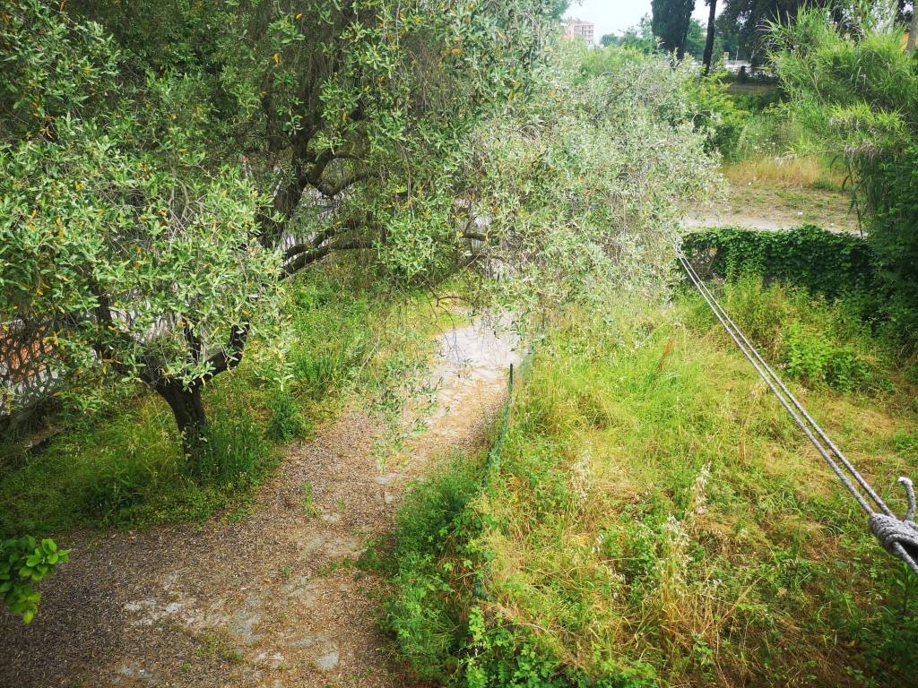 Villetta a schiera a Sarzana in Viale Dante Alighieri, 31 - Foto 2