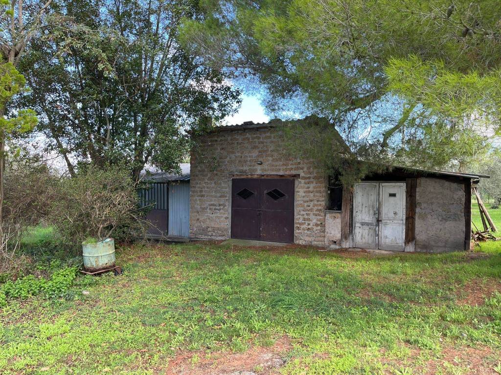 Villa a Viterbo - Foto 5