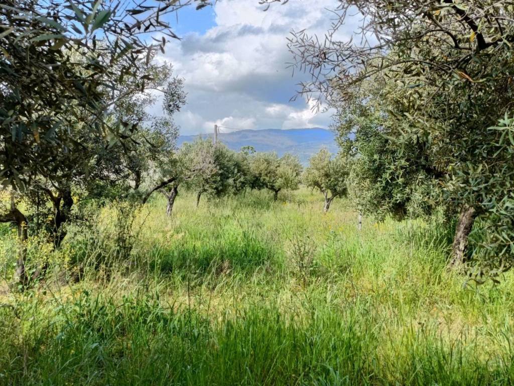 Terreno a Lamezia terme in Strada Provinciale 106 - Foto 2