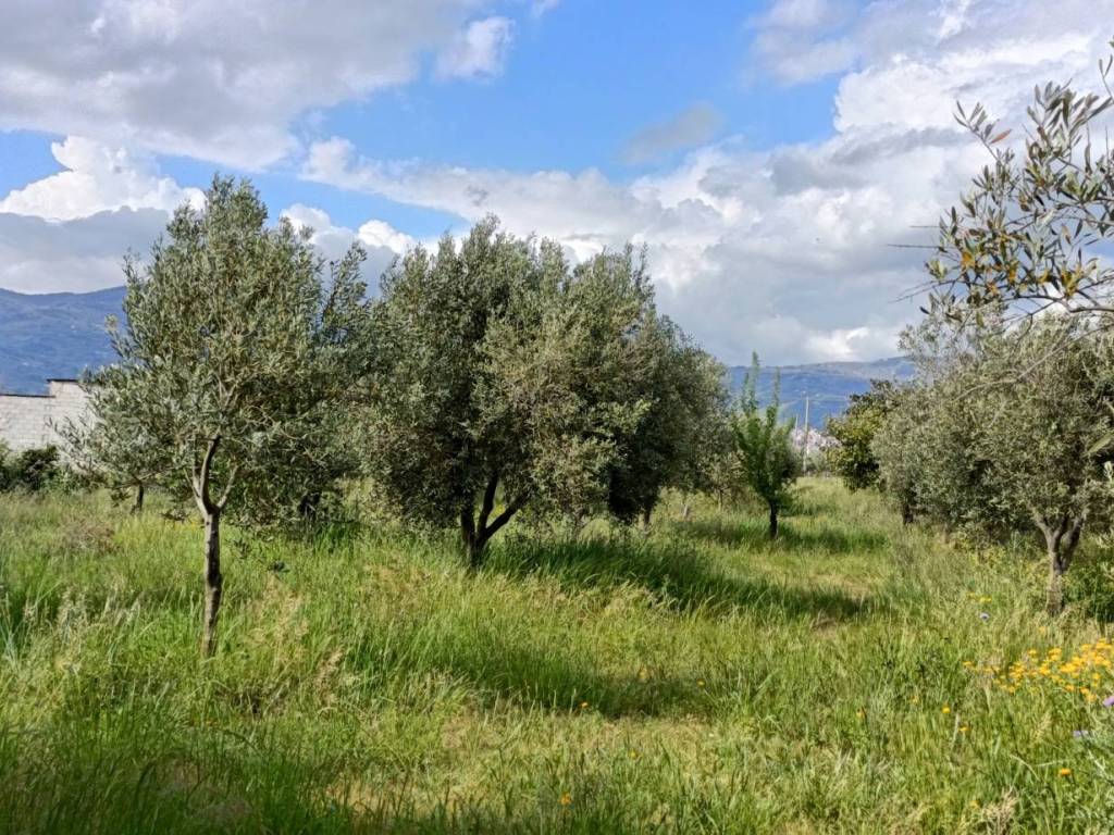 Terreno a Lamezia terme in Strada Provinciale 106 - Foto 3