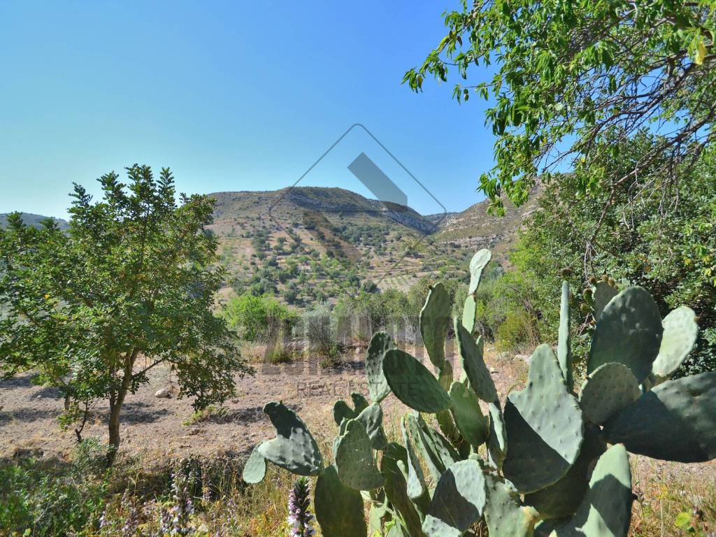 Rustico / casale a Noto - Foto 2