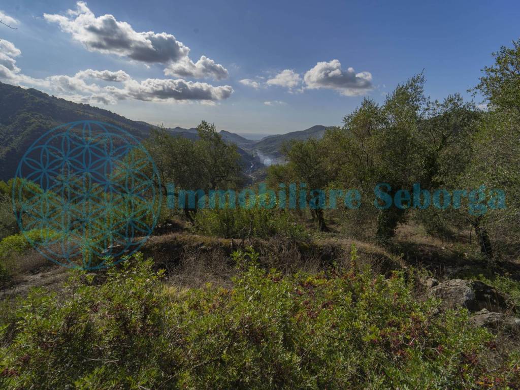 Terreno a Dolceacqua - Foto 2