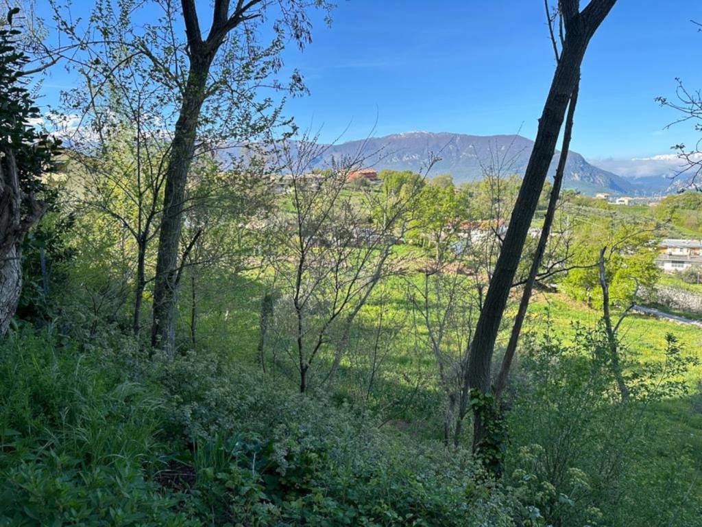 Terreno a San valentino in abruzzo citeriore in In zona a verde privato - Foto 3