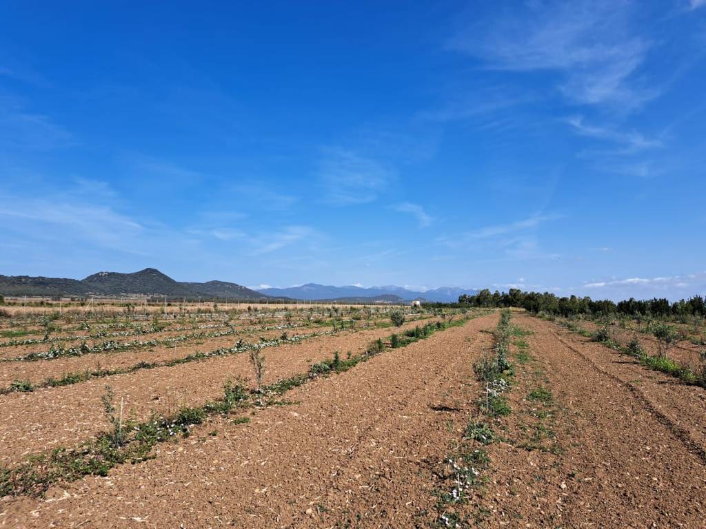 Terreno a Villaspeciosa - Foto 2
