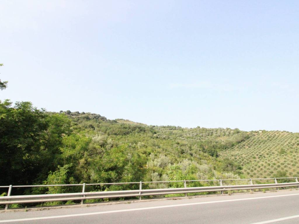 Terreno a Prignano cilento in Strada Provinciale Variante SS18 - Foto 2