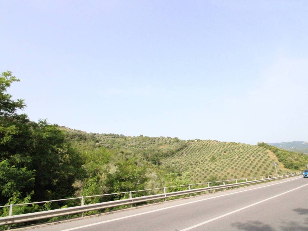 Terreno a Prignano cilento in Strada Provinciale Variante SS18 - Foto 4