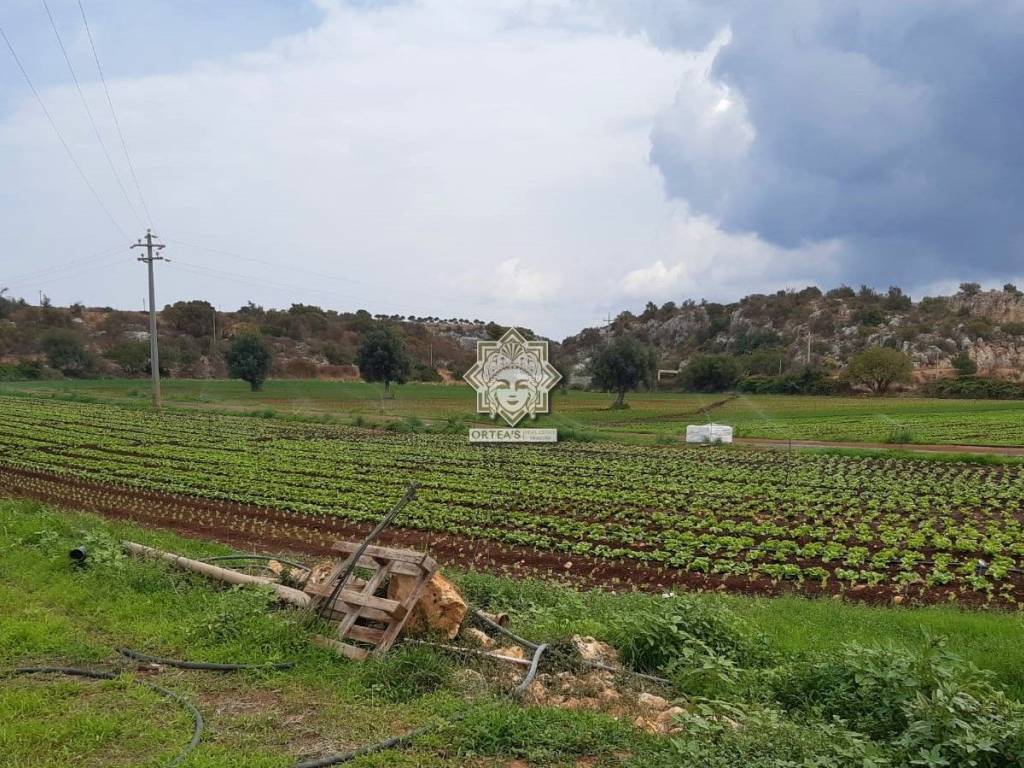 Terreno a Noto in SP 38 - Foto 2