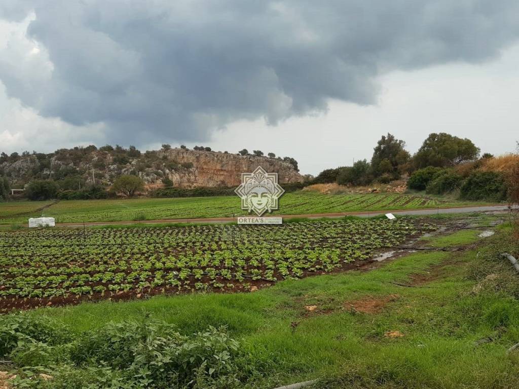 Terreno a Noto in SP 38 - Foto 3