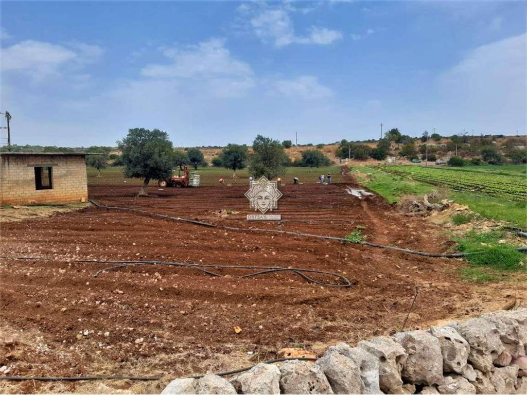 Terreno a Noto in SP 38 - Foto 4