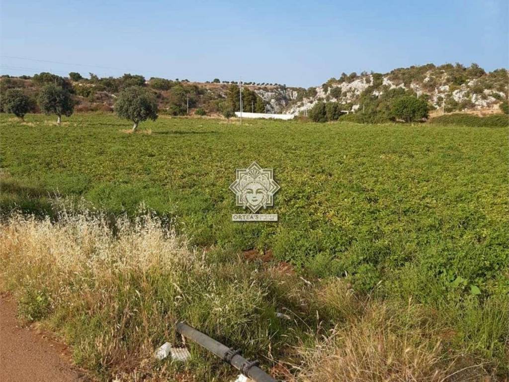 Terreno a Noto in SP 38 - Foto 5