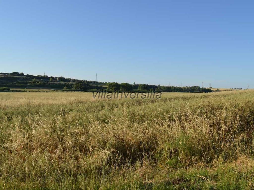Terreno a Montalto di castro - Foto 2