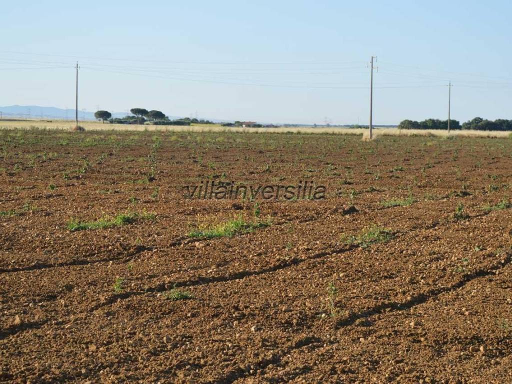 Terreno a Montalto di castro - Foto 3