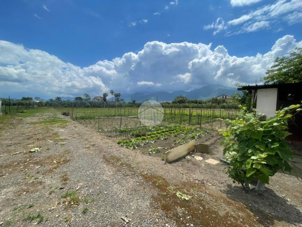 Terreno a Scafati in Via Paolo VI, 14 - Foto 5