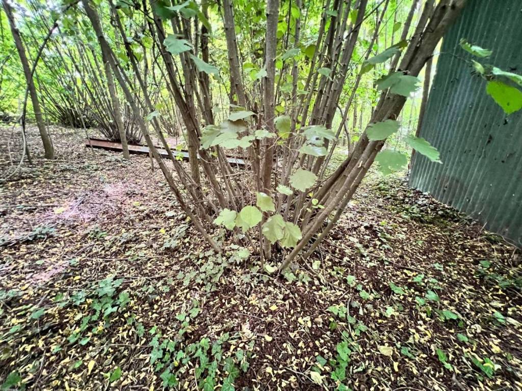 Terreno a Costigliole d'asti in Strada Brichetti - Foto 5