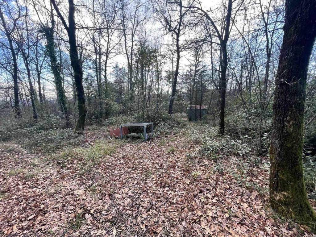 Terreno a Pistoia - Foto 2