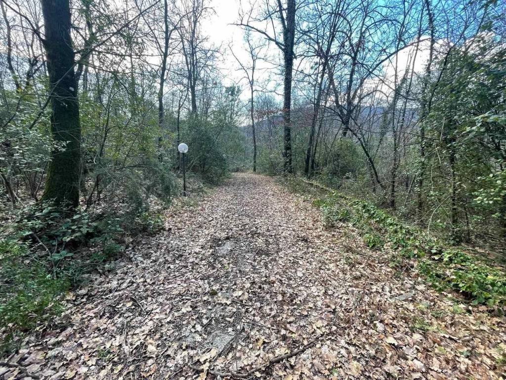 Terreno a Pistoia - Foto 3