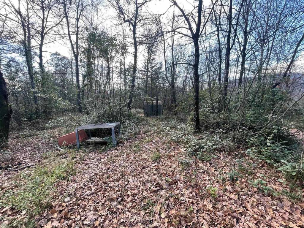 Terreno a Pistoia - Foto 4