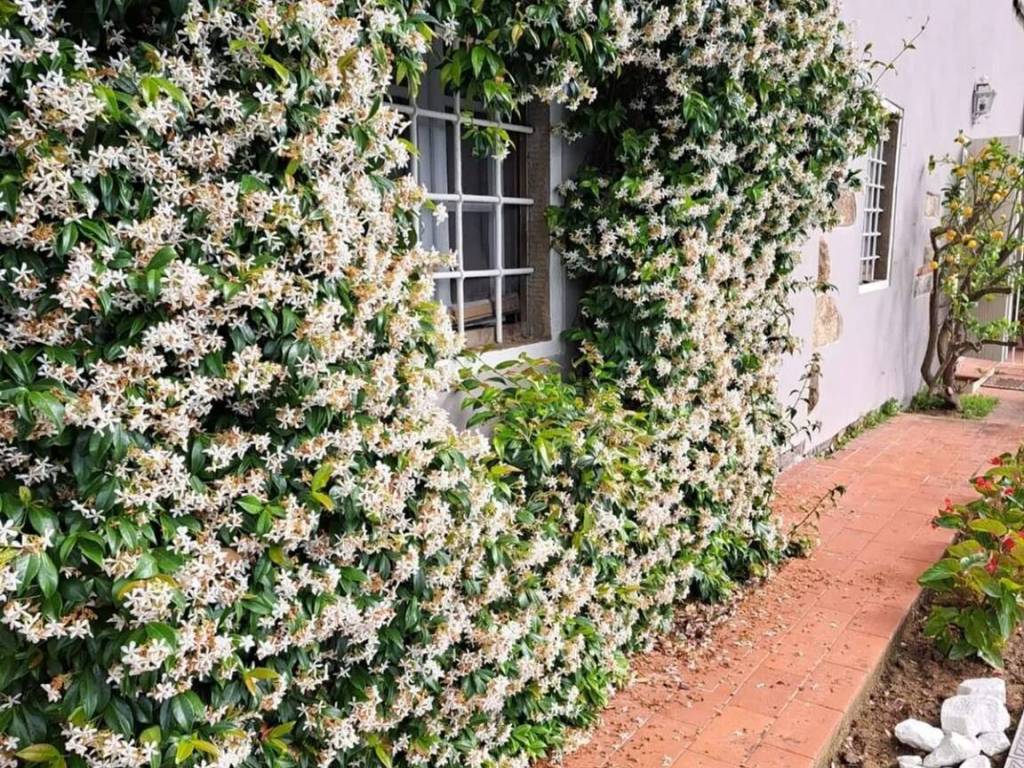 Rustico / casale a Buggiano in Strada Provinciale 29 Colligiana, 5 - Foto 4