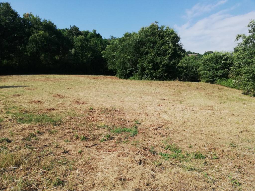 Terreno a Caiazzo in Via Papari, 7 - Foto 2