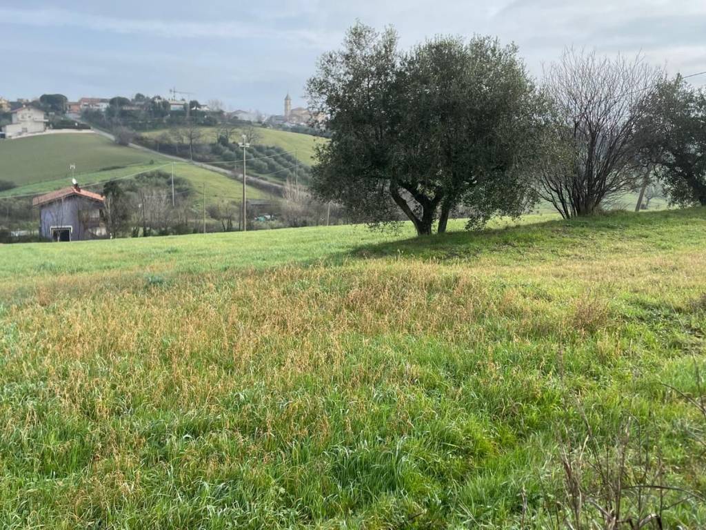 Terreno a Misano adriatico - Foto 3