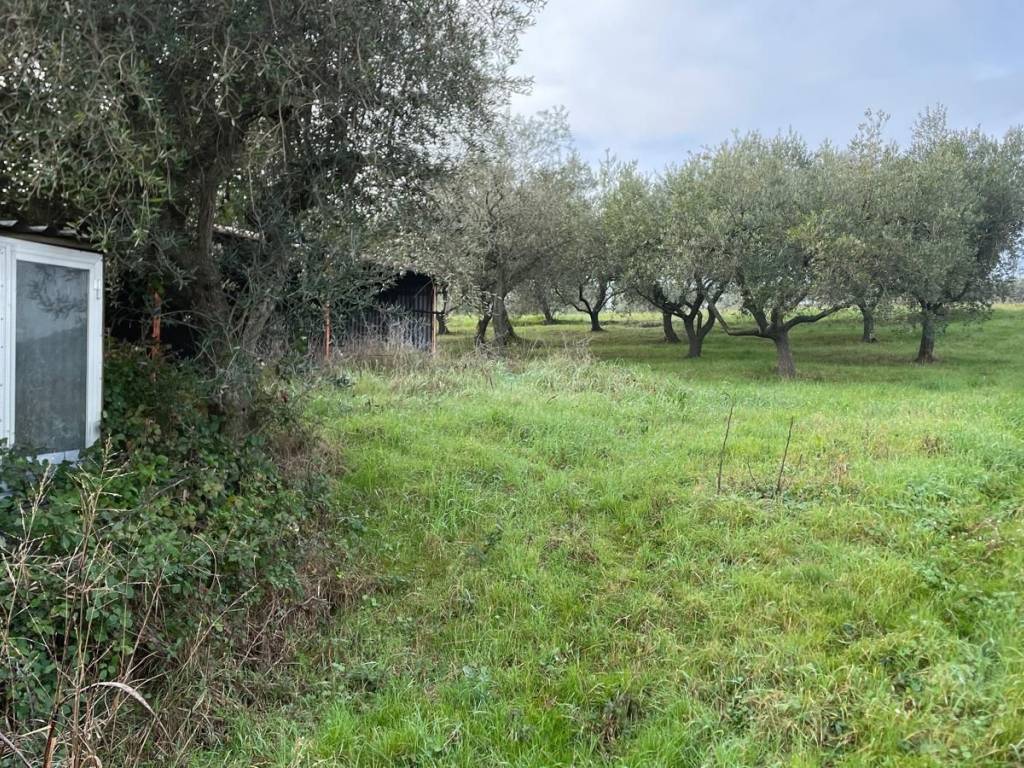 Terreno a Misano adriatico - Foto 4