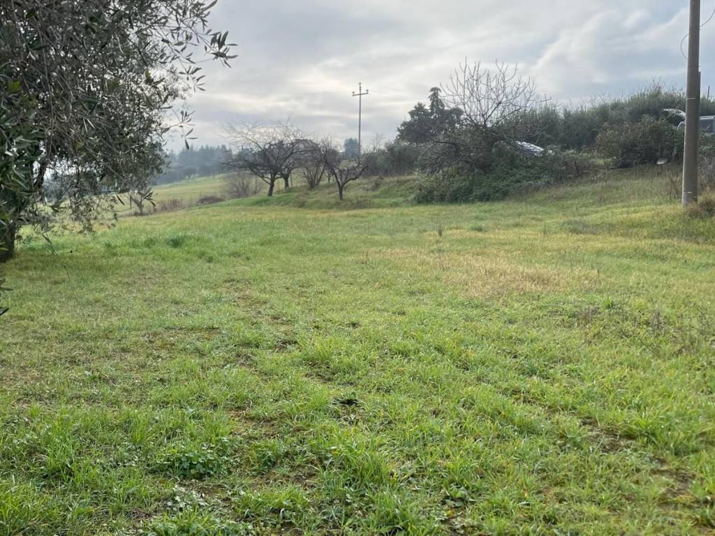 Terreno a Misano adriatico - Foto 5