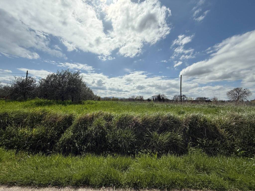 Terreno a Castiglione del lago in Località Cascina - Foto 2