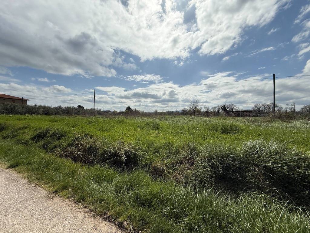 Terreno a Castiglione del lago in Località Cascina - Foto 3