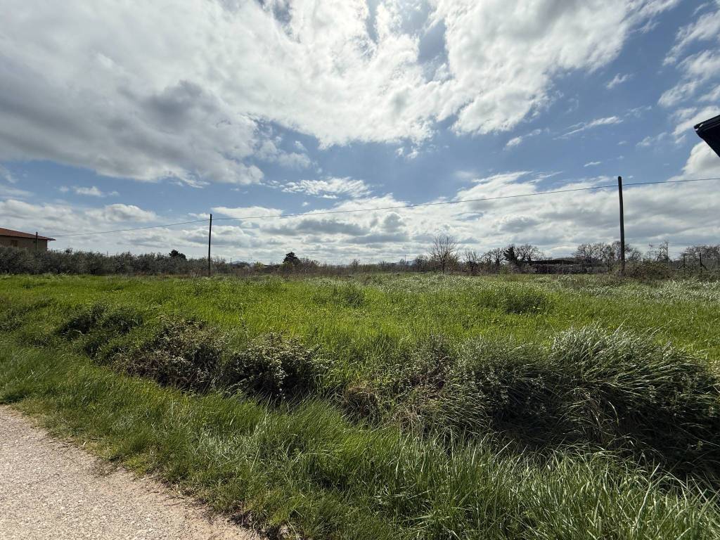 Terreno a Castiglione del lago in Località Cascina - Foto 4