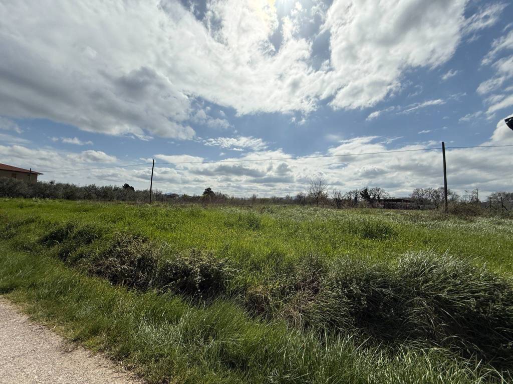 Terreno a Castiglione del lago in Località Cascina - Foto 5