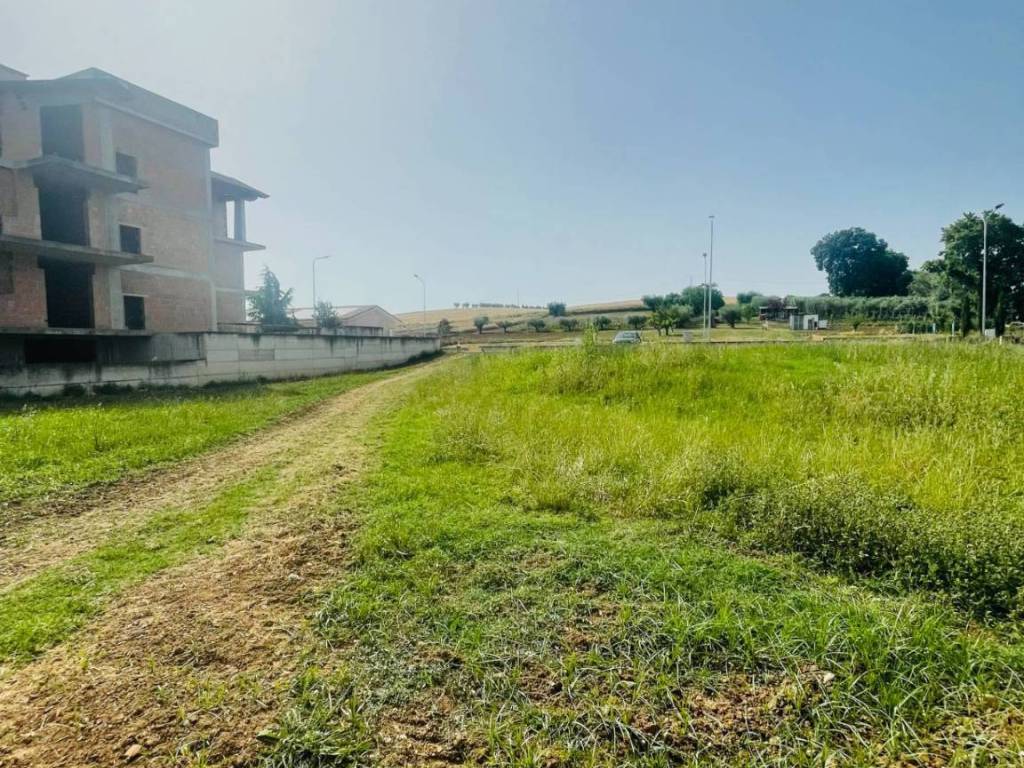 Terreno a Morro d'oro in Via Sandro Pertini - Foto 4