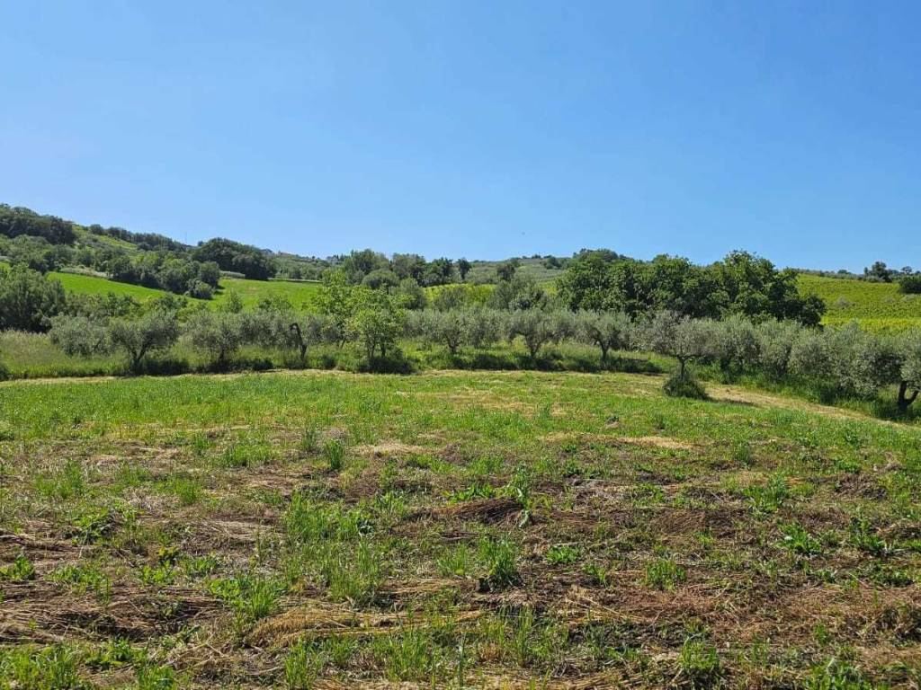 Terreno a Castel frentano in Via Ciommi - Foto 3