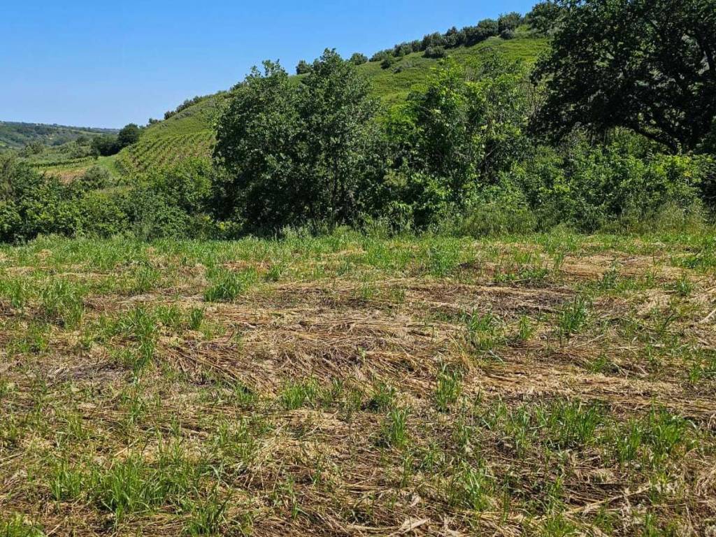 Terreno a Castel frentano in Via Ciommi - Foto 4