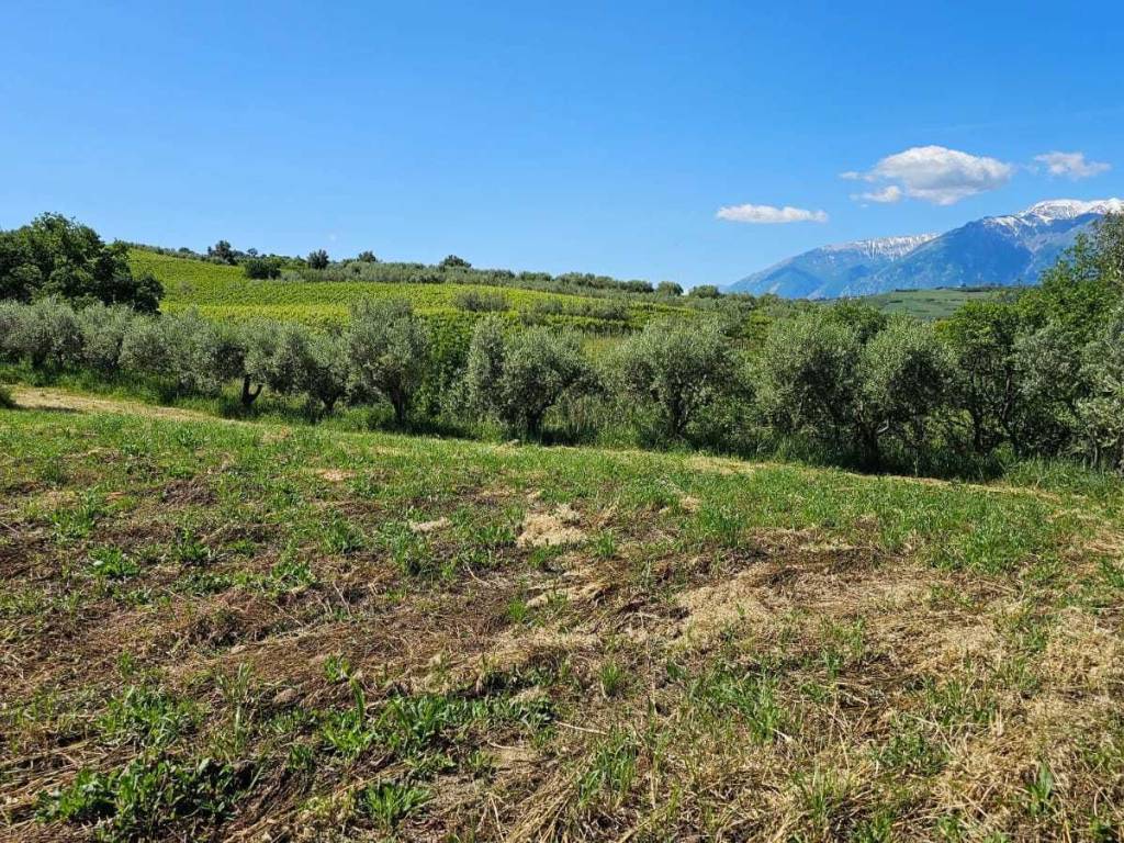 Terreno a Castel frentano in Via Ciommi - Foto 5