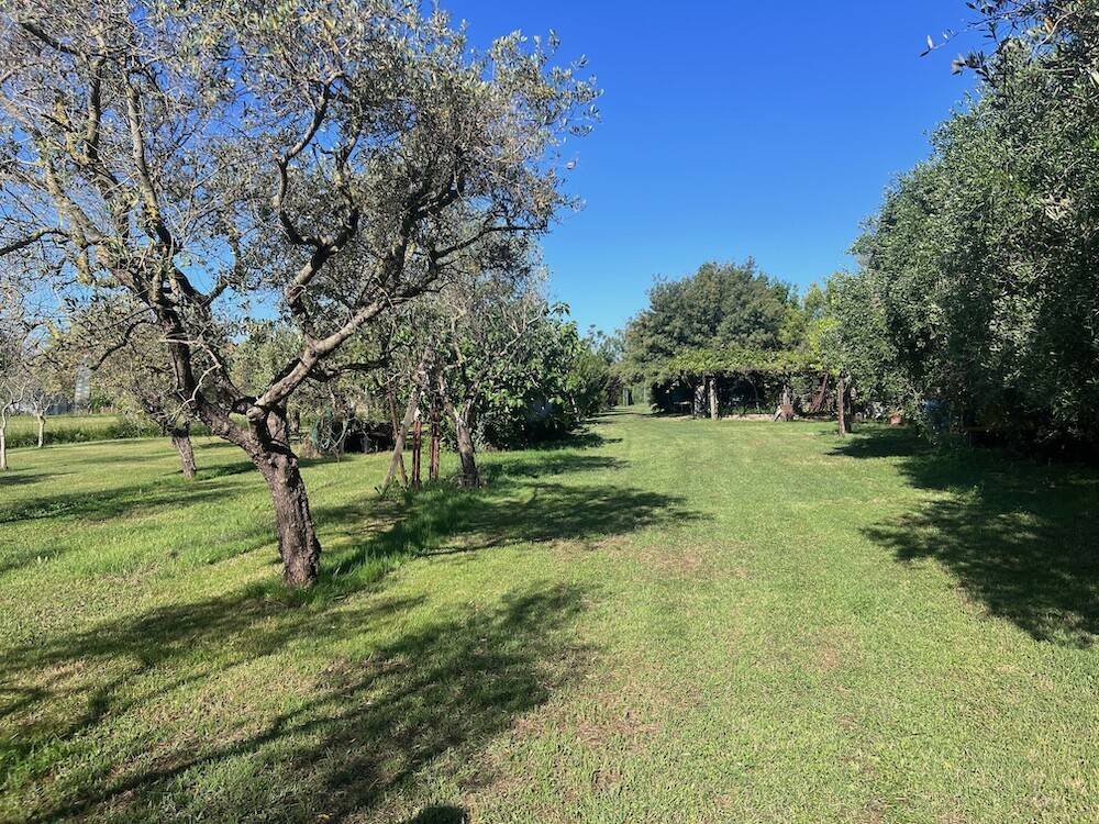 Terreno a Rosignano marittimo in Via per Rosignano, 20 - Foto 4