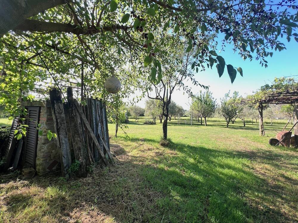 Terreno a Rosignano marittimo in Via per Rosignano, 20 - Foto 5