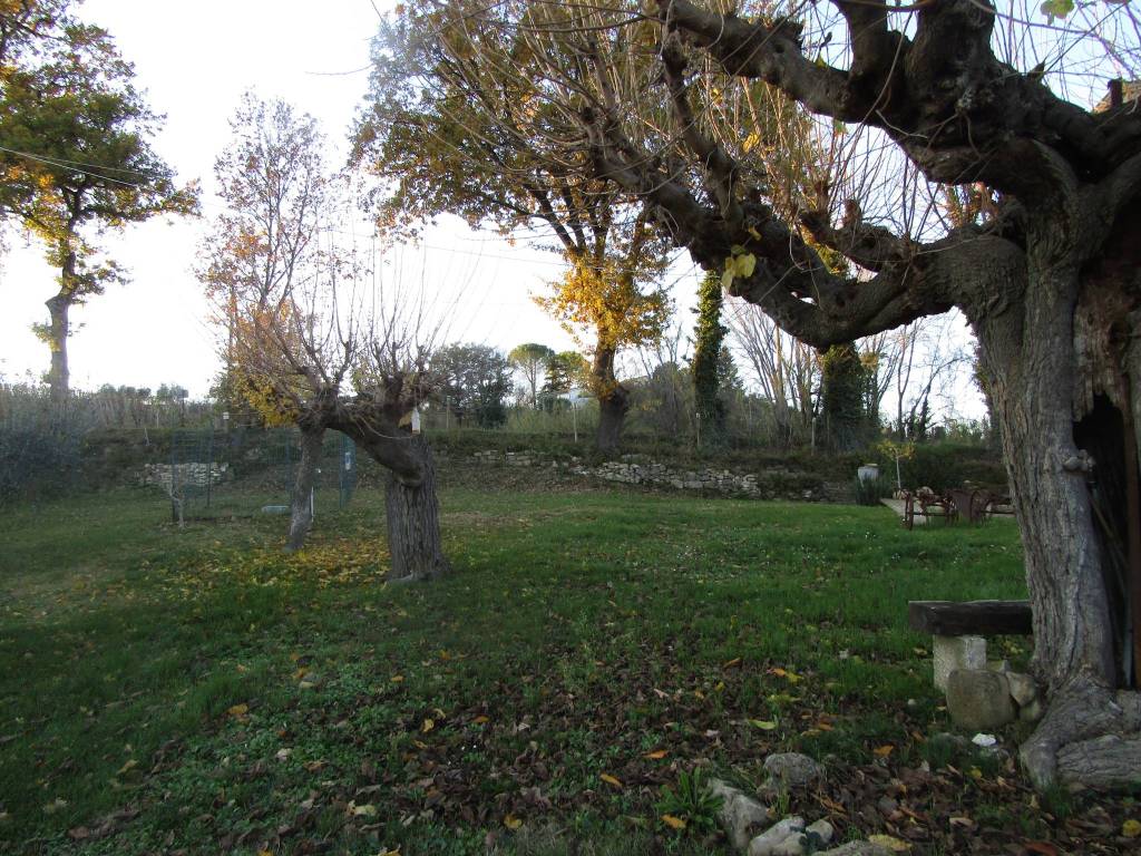 Rustico / casale a Monte roberto in Via Sanguinetti, 1 - Foto 4