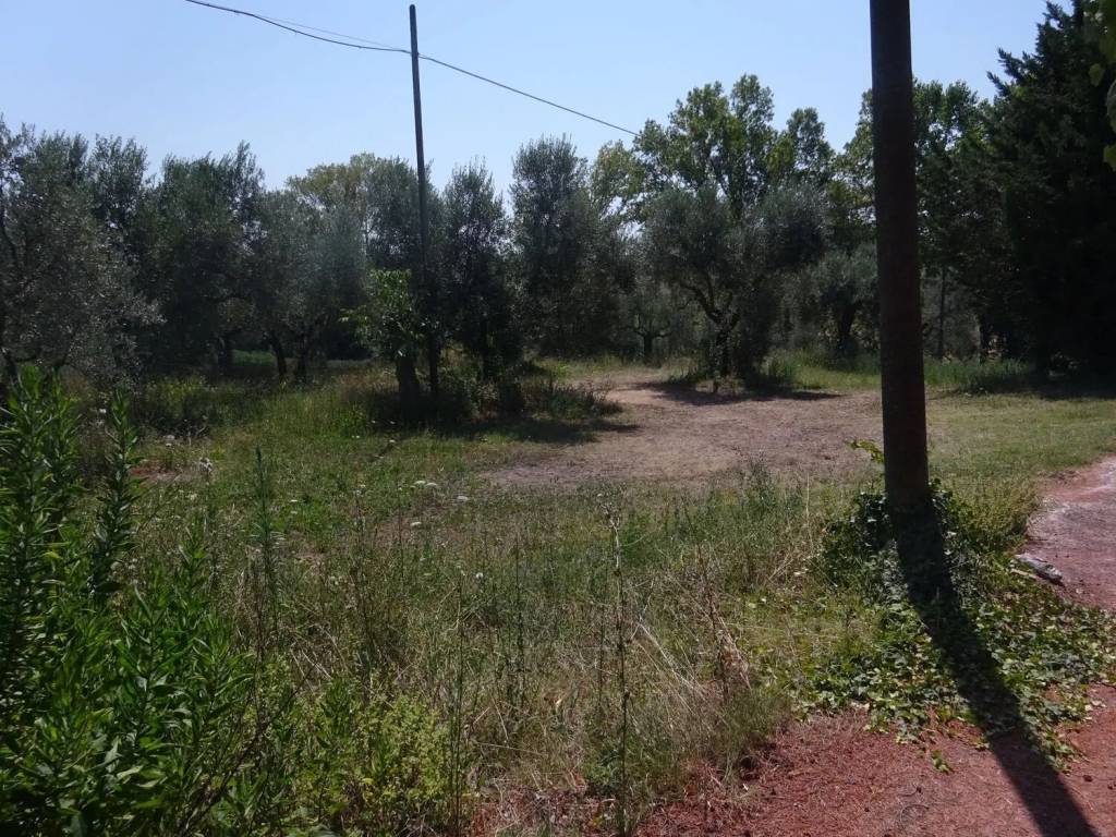 Terreno a Treia in Contrada Schito - Foto 2