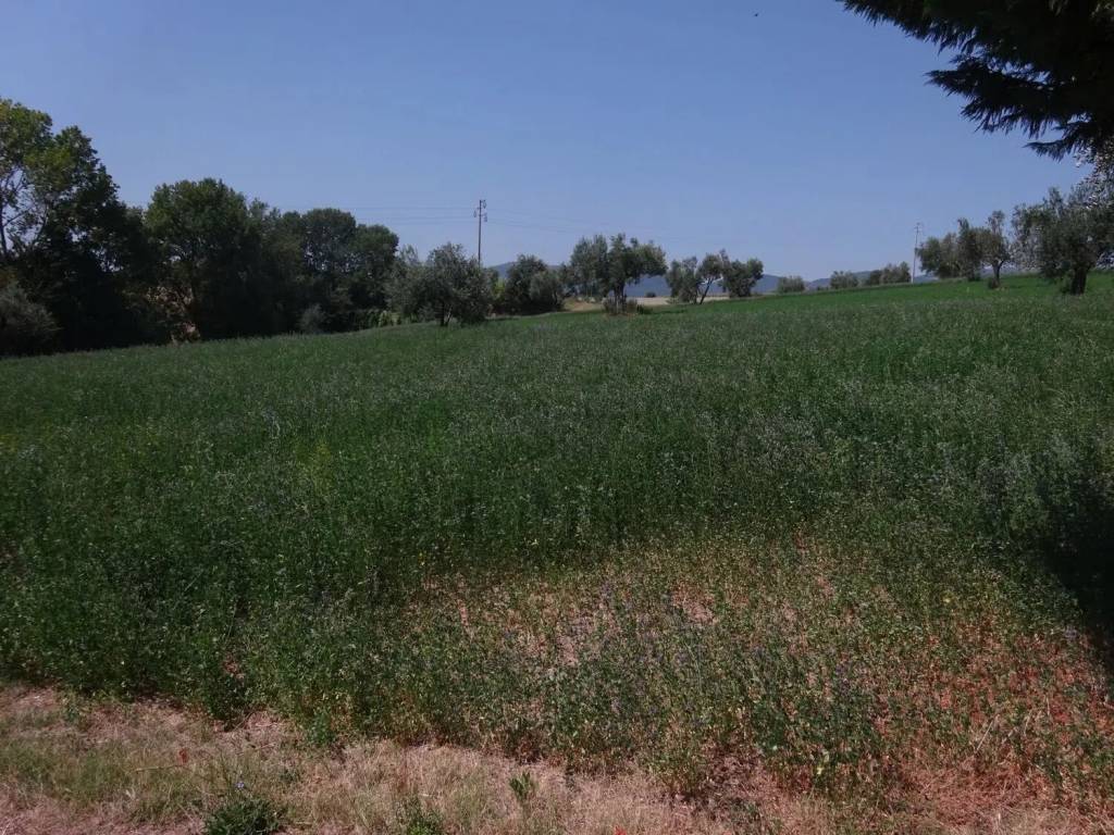 Terreno a Treia in Contrada Schito - Foto 3