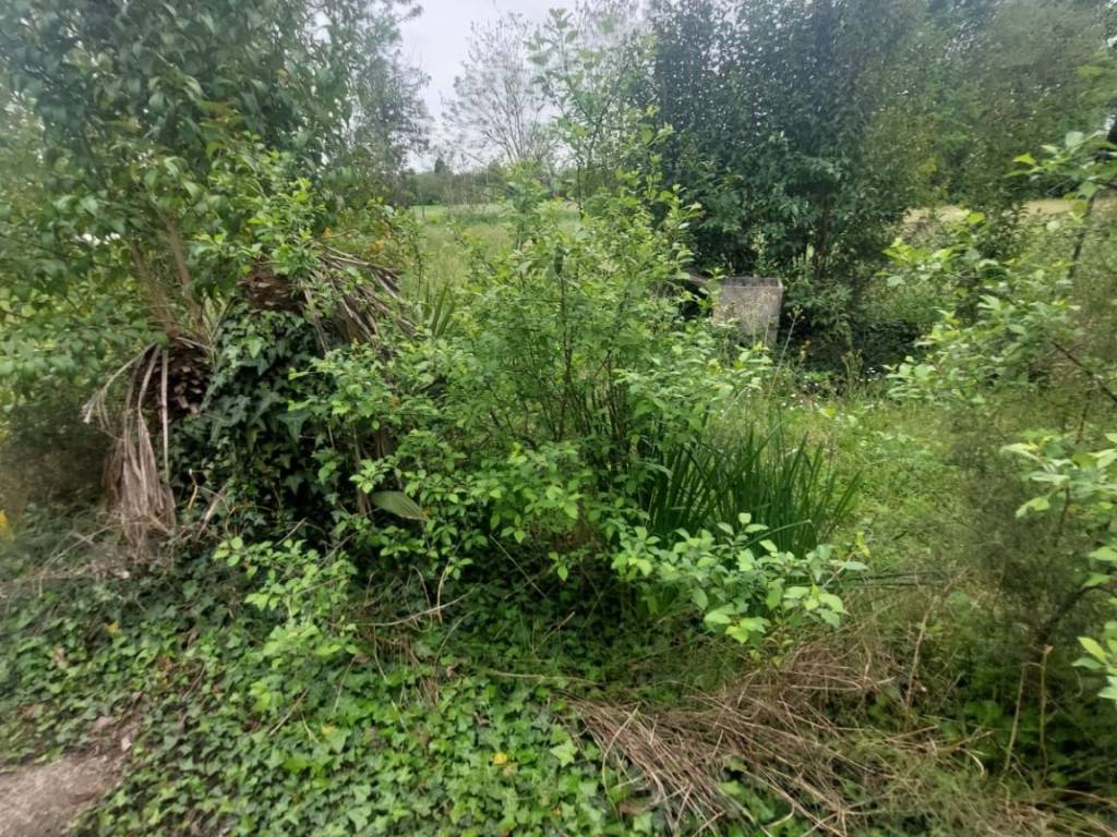 Villa a Frosinone - Foto 2