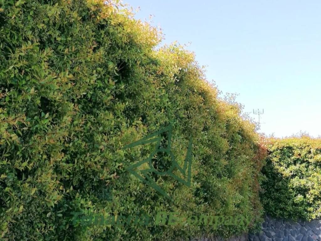 Villa a Viagrande in Via F. Russo - Foto 3