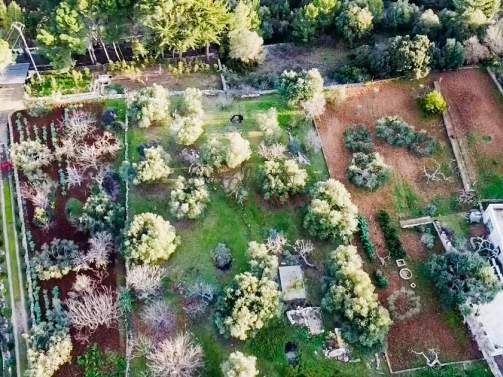 Rustico / casale a Martina franca in Contrada Paretone - Foto 4