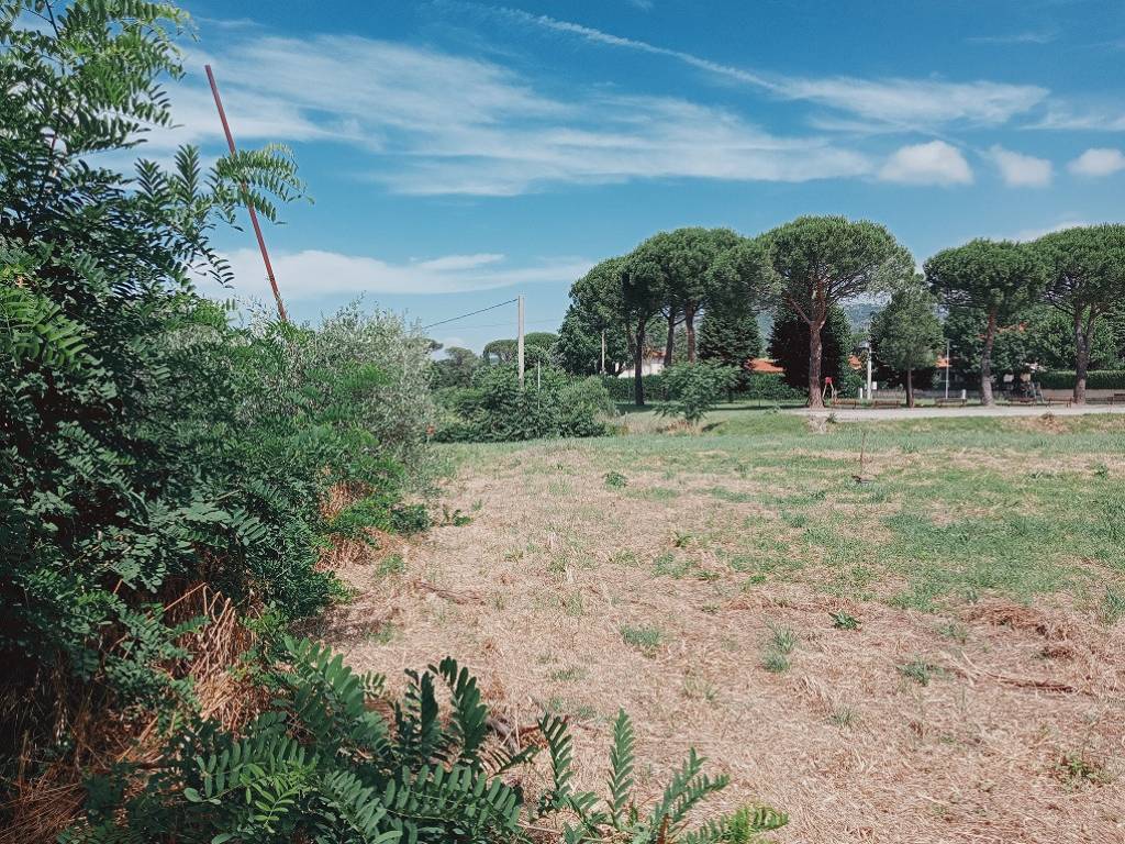 Terreno a Cortona - Foto 3